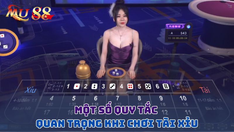 Một số quy tắc quan trọng khi chơi xí ngầu