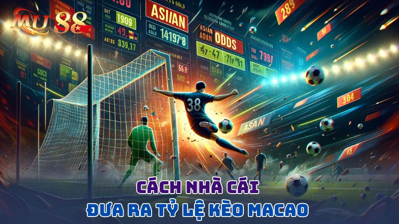 Cách nhà cái đưa ra tỷ lệ kèo Macao 